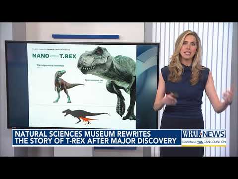 New predator discovered: 'Nano' was a competitor to T.rex