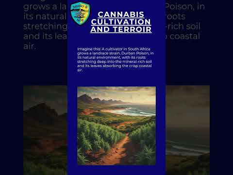 Microclimates Change Everything About Your Cannabis