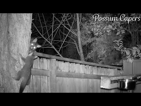 Raylene is a Great Mother