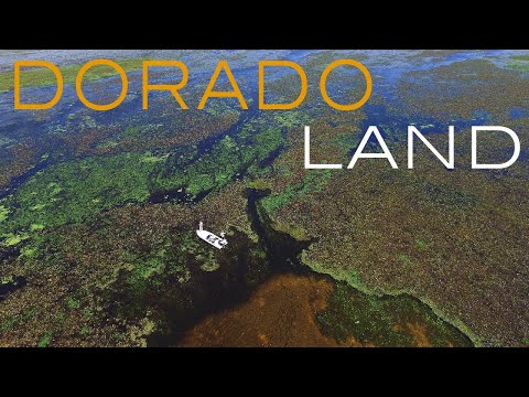 Eagle eye - Iberá Marshlands - Pirá Lodge
