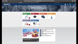 My.Lonestar D2L how to