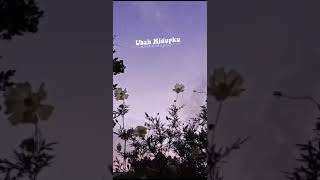 Download lagu Status whatsapp , Bapa Sentuh Hatiku. Ucapan selamat pagi mp3