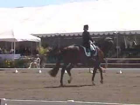 Brentina & McDonald Kur 2008