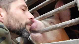 Was Tiere uns zu sagen haben - Tierkommunikation