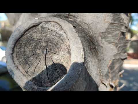 black shark 4 4k 30fps stock camera