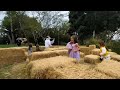 The Santa Barbara Zoo Gets Ready For Boo At The Zoo With Dr Frogenstein