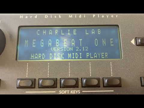 Charlie Lab Megabeat One 1995 image 10