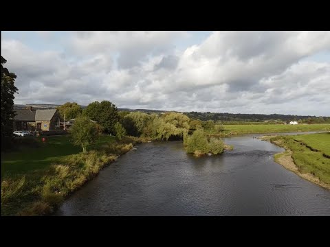 Barbel and Chub Fishing the River Ribble - Ribchester