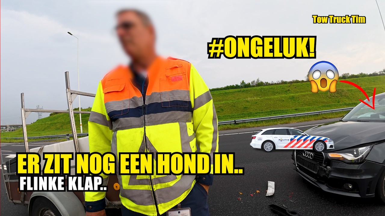 Ongeluk met 3 voertuigen op de A15. Er zit nog een hond in..