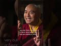 Experience In Meditation With Mingyur Rinpoche