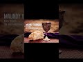 MAUNDY THURSDAY ️ CHRISTIAN WHATSAPP STATUS