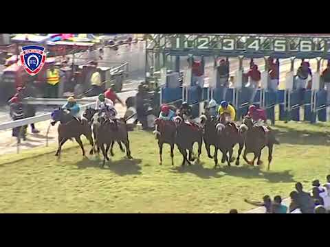 RM29 R6 - Horse Guards