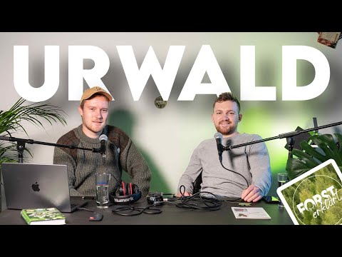 Wo gibt es richtigen Urwald? Forst-FAQ #6 - Forst erklärt