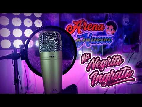 Arena Nueva - Mix Negrito Ingrato ft. Cristina Bernales (2020)