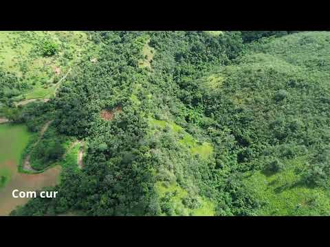 FAZENDA BANANAL À VENDA - CÓRREGO DANTA/MG