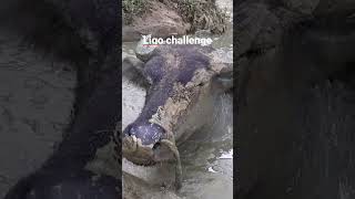 Ligo Challenge🔥 + A day in my Staycation Watch HD Mp4 Videos ...