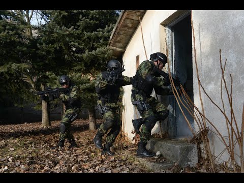 Patriotizam, profesionalnost i posvećenost - Kobre na delu!