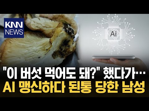 "AI 믿었다 '뒤통수' 맞았다" 공분 답변대로 했다 응급실 실려간 남성 / KNN