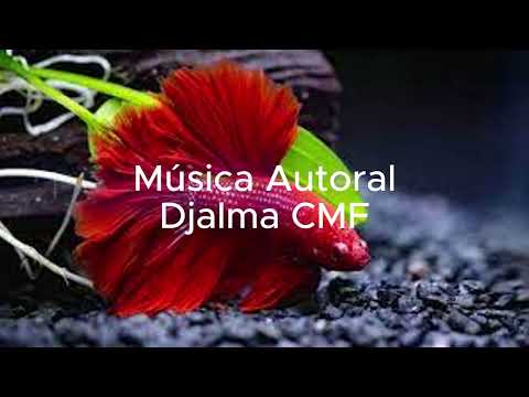 Pra que tanta rigorosidade (Rap)