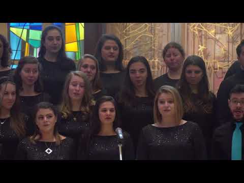 Shabbat Hamalkah - Zamir Noded 2018