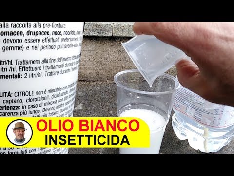, title : 'OLIO BIANCO TRATTAMENTO INSETTICIDA'