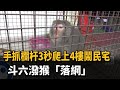 3秒爬上4樓！頻闖民宅搞破壞　潑猴落網－民視新聞