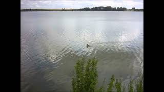 Fancy Wait by the Radio New ultra long Maxi by ingo silber