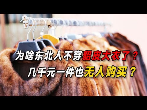 穿貂
