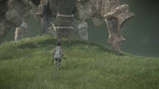 のんびりワンダ4