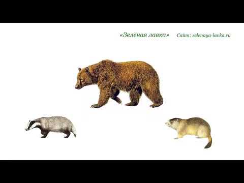 Причины обострений остеохондроза Микроэлементы-для лечения суставов