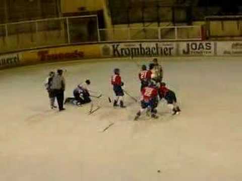 Hockey fight