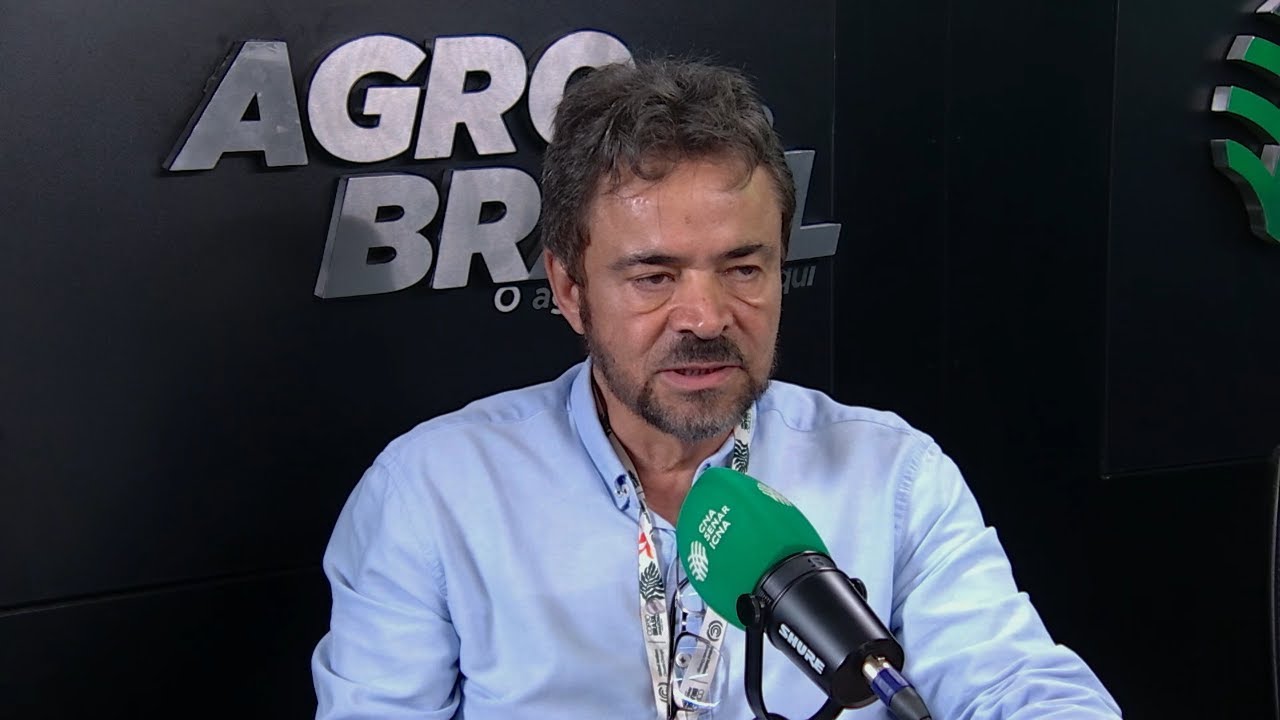 AçaíBot: robô desenvolvido por brasileiro transforma a colheita do açaí na Amazônia