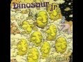 Dinosaur Jr - Recognition