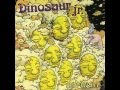 Dinosaur Jr - Recognition 