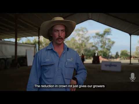 Syngenta On Farm Seed Treatment Workshop - Testimonial 2