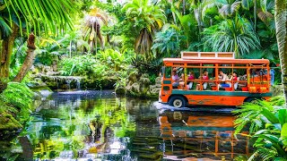 Tropical Wonders of Japan 🇯🇵 4K Walking Tour – Okinawa