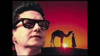 Roy Orbison   Shahdaroba