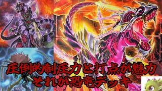 【遊戯王】どけ！俺は生物の大先輩だぞ！