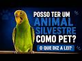 🐶🐾🤍😺 3 Video thumbnail