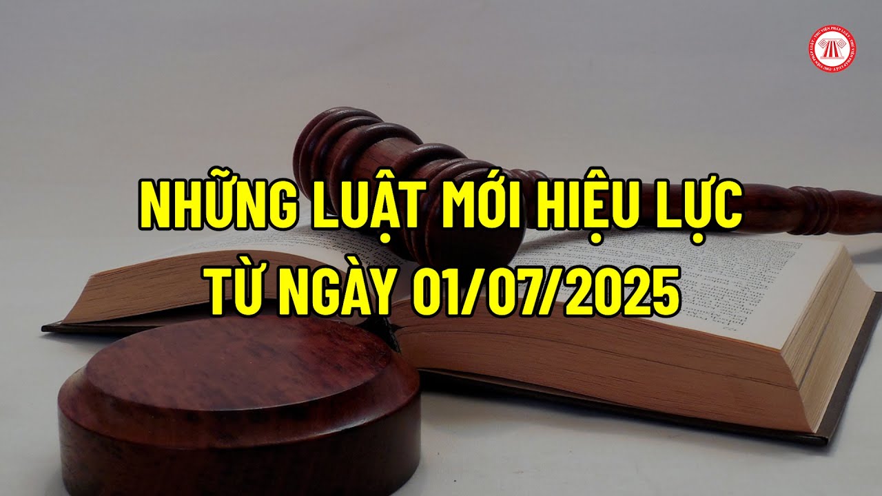 Những Luật mới hiệu lực từ ngày 01/07/2025