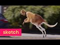 Animal Mix | Klokko | Het Klokhuis