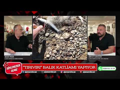 TIRIVIRI BALIK KATLİAMI YAPIYOR