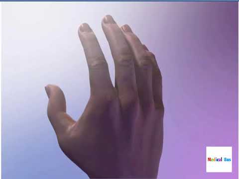 Tissue Repair Animation