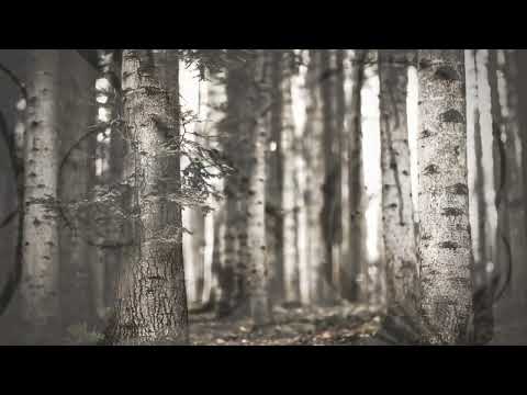 Anđelija Milić, TO, More, bel peline