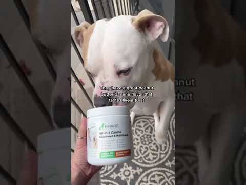 These Vitamins are Changing Dog’s Lives! #SHORTS