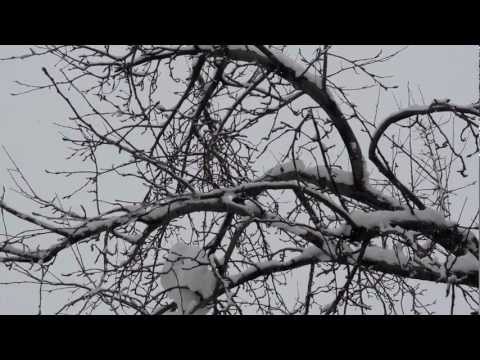 Grup Munzur - Vore Vorena