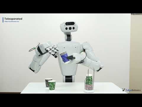 Torobo Hand Review Video 2