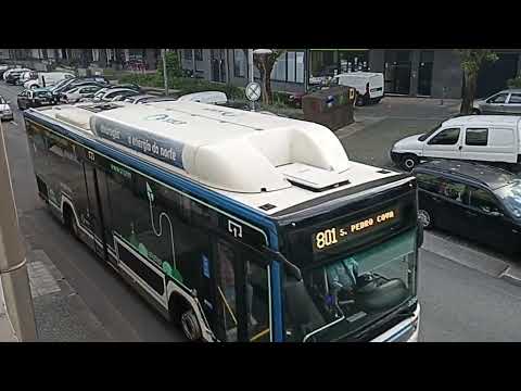 STCP New Buses - 3408 & 3409 - 700 / 3364 - 801