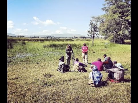 East Africa Day Leiden - Gorwaa, Hadza, and Ihanzu: Language contact variation and grammar inquiries