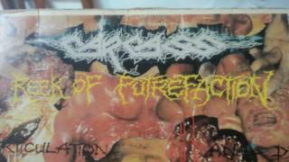 Carcass - Foeticide (reek of putrefaction - side b vinyl 1988)